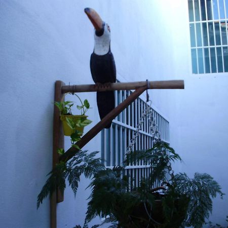 Villa Aconchego Dos Milagres São Miguel dos Milagres Exterior foto