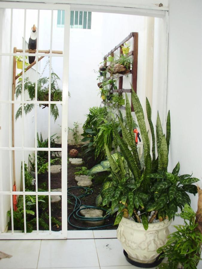Villa Aconchego Dos Milagres São Miguel dos Milagres Exterior foto